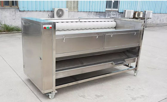 कसावा पीलर एमरी रोलर छीलने और सब्जी ब्रश रोलर सफाई मशीन के लिए वॉशिंग मशीन