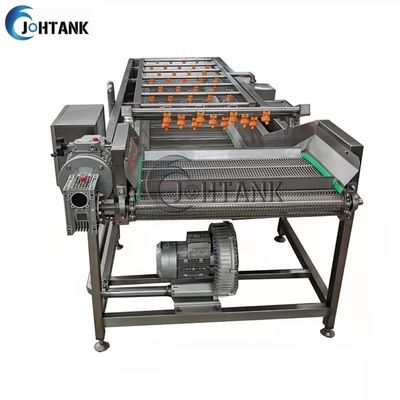 टमाटर सलाद के लिए औद्योगिक स्वचालित सब्जी और फलों की धुलाई सफाई मशीन